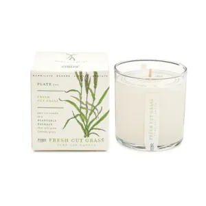 Fresh Cut Grass Plant The Box Candle