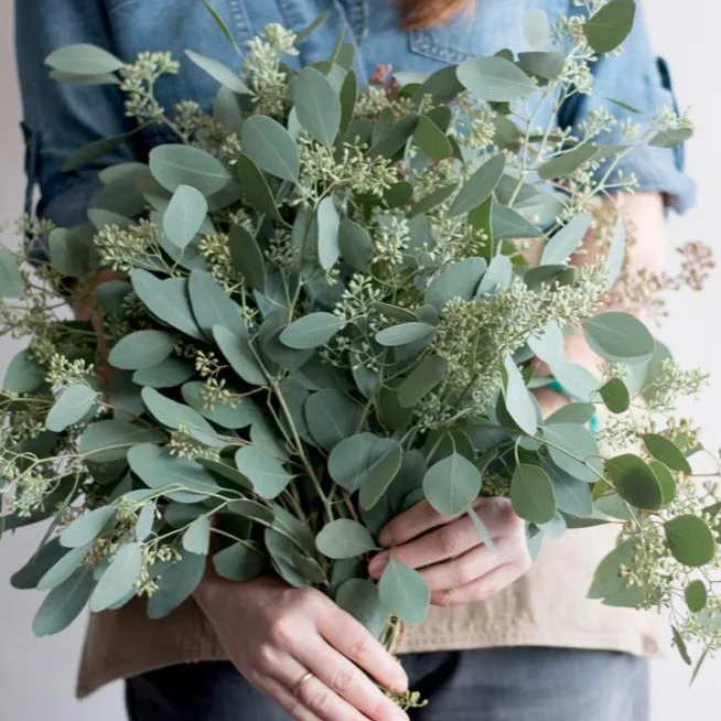 Seeded Eucalyptus Greenery